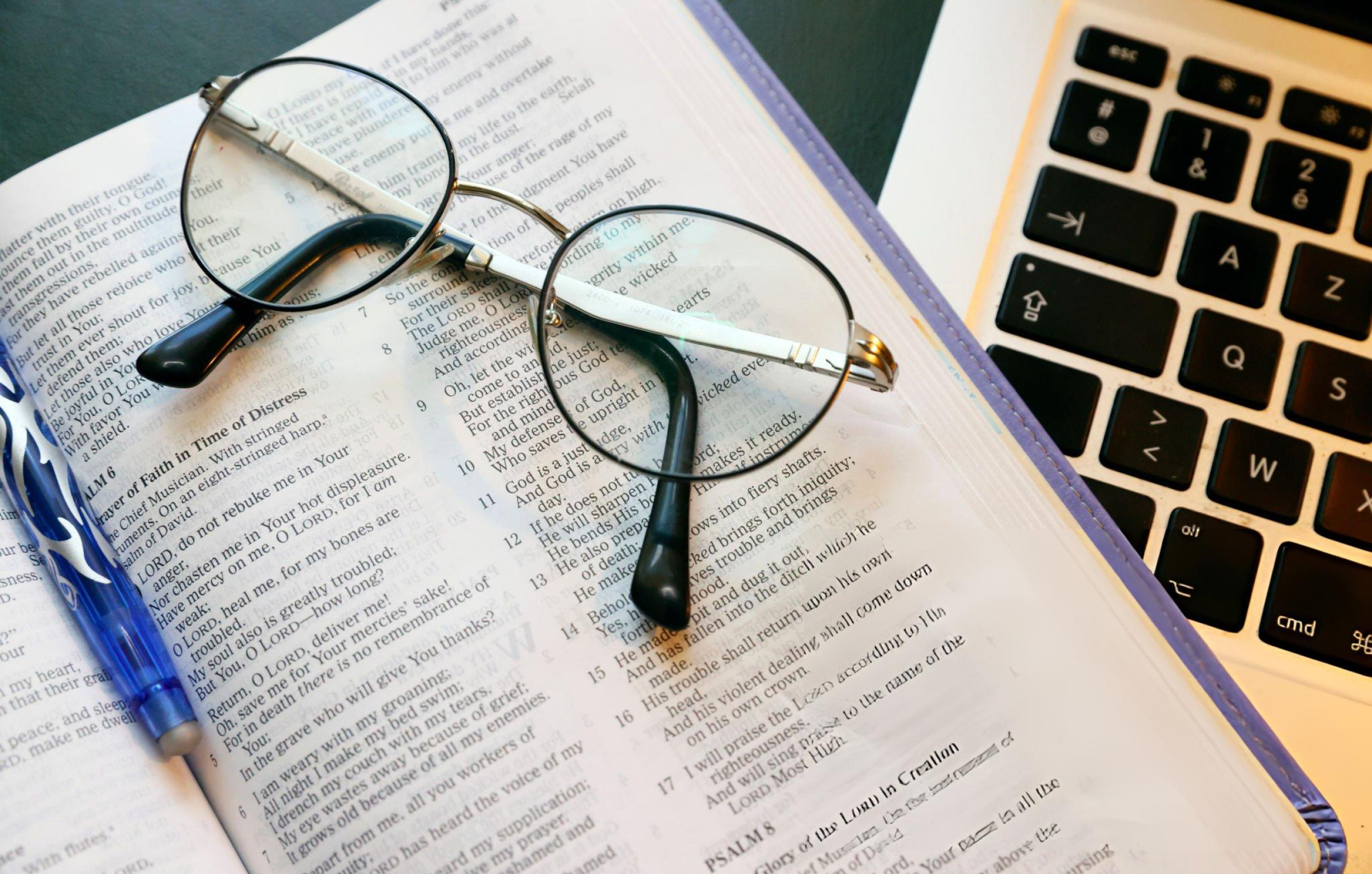 Open Bible image for Bible pundit